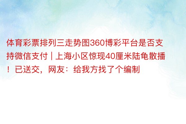 体育彩票排列三走势图360博彩平台是否支持微信支付 | 上海小区惊现40厘米陆龟散播！已送交，网友：给我方找了个编制