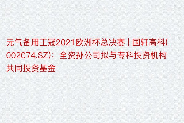 元气备用王冠2021欧洲杯总决赛 | 国轩高科(002074.SZ)：全资孙公司拟与专科投资机构共同投资基金